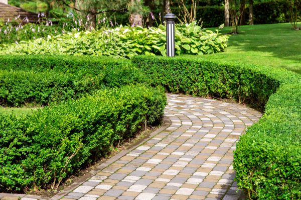 Cost of Paved Landscaping in Santa Maria