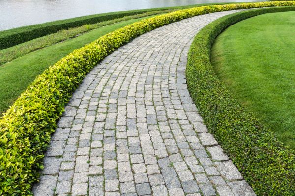 Sidewalk Pavers Installation in Santa Maria